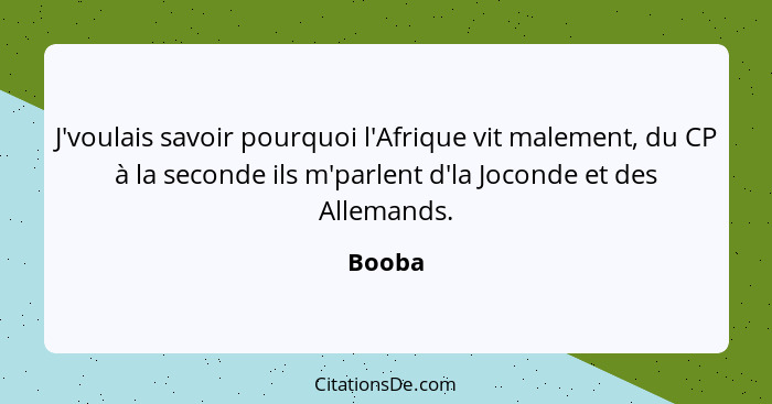 J'voulais savoir pourquoi l'Afrique vit malement, du CP à la seconde ils m'parlent d'la Joconde et des Allemands.... - Booba