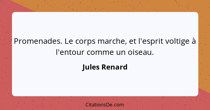 Promenades. Le corps marche, et l'esprit voltige à l'entour comme un oiseau.... - Jules Renard