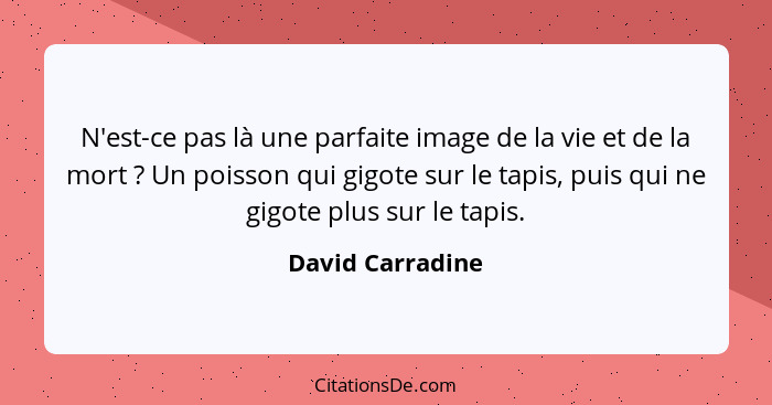 N'est-ce pas là une parfaite image de la vie et de la mort ? Un poisson qui gigote sur le tapis, puis qui ne gigote plus sur le... - David Carradine