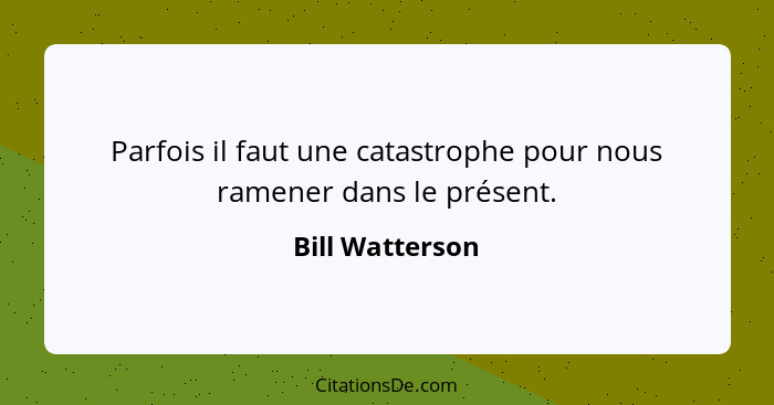 Parfois il faut une catastrophe pour nous ramener dans le présent.... - Bill Watterson