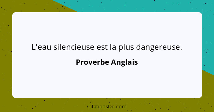 L'eau silencieuse est la plus dangereuse.... - Proverbe Anglais