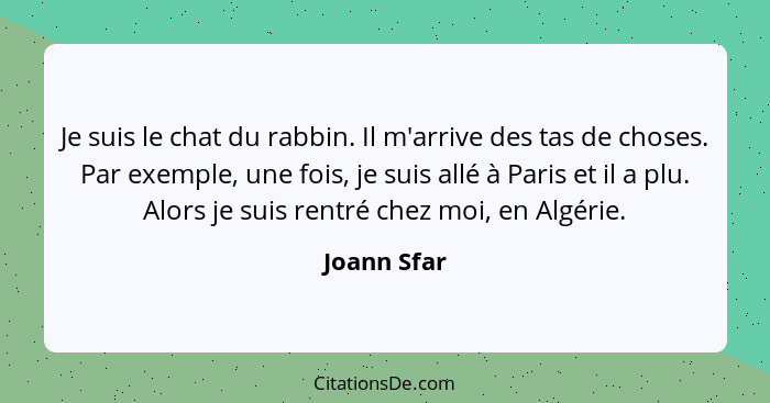 Je suis le chat du rabbin. Il m'arrive des tas de choses. Par exemple, une fois, je suis allé à Paris et il a plu. Alors je suis rentré c... - Joann Sfar