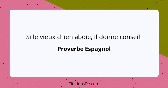 Si le vieux chien aboie, il donne conseil.... - Proverbe Espagnol