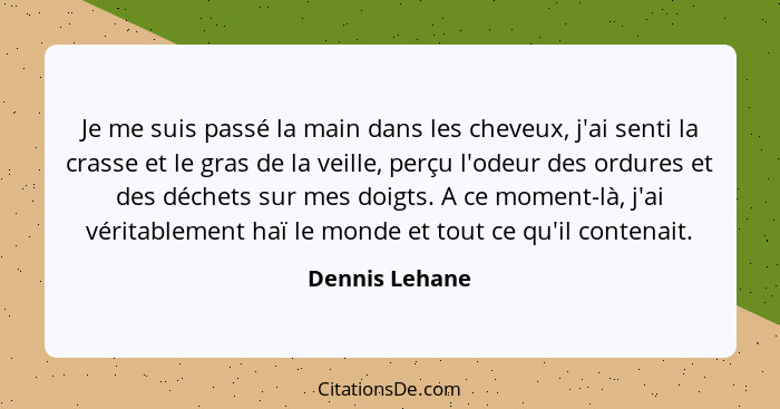 Je me suis passé la main dans les cheveux, j'ai senti la crasse et le gras de la veille, perçu l'odeur des ordures et des déchets sur... - Dennis Lehane