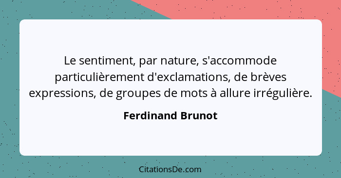 Le sentiment, par nature, s'accommode particulièrement d'exclamations, de brèves expressions, de groupes de mots à allure irréguliè... - Ferdinand Brunot