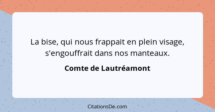 La bise, qui nous frappait en plein visage, s'engouffrait dans nos manteaux.... - Comte de Lautréamont