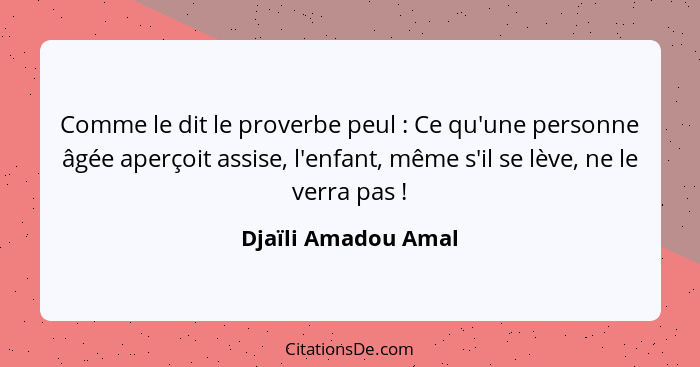 Comme le dit le proverbe peul : Ce qu'une personne âgée aperçoit assise, l'enfant, même s'il se lève, ne le verra pas !... - Djaïli Amadou Amal