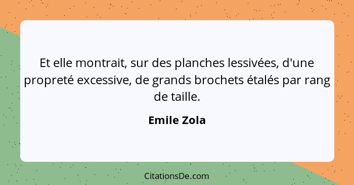 Et elle montrait, sur des planches lessivées, d'une propreté excessive, de grands brochets étalés par rang de taille.... - Emile Zola