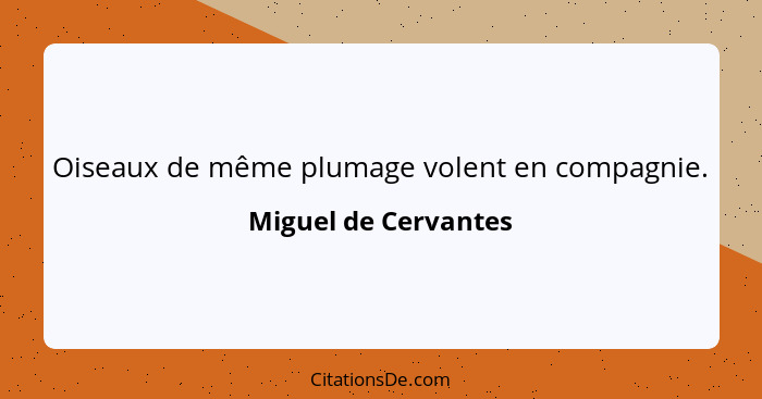 Oiseaux de même plumage volent en compagnie.... - Miguel de Cervantes