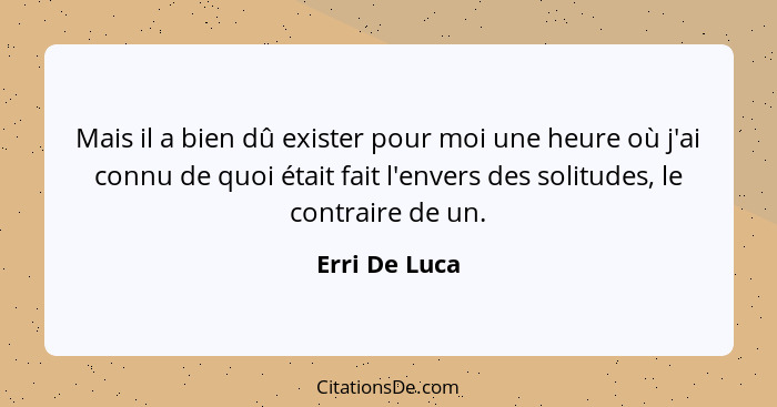 Mais il a bien dû exister pour moi une heure où j'ai connu de quoi était fait l'envers des solitudes, le contraire de un.... - Erri De Luca