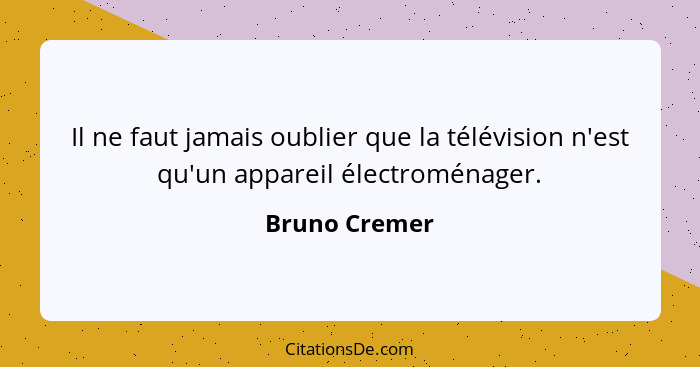 Il ne faut jamais oublier que la télévision n'est qu'un appareil électroménager.... - Bruno Cremer