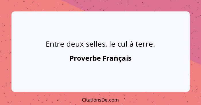 Entre deux selles, le cul à terre.... - Proverbe Français