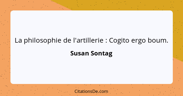 La philosophie de l'artillerie : Cogito ergo boum.... - Susan Sontag