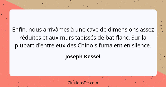 Enfin, nous arrivâmes à une cave de dimensions assez réduites et aux murs tapissés de bat-flanc. Sur la plupart d'entre eux des Chinoi... - Joseph Kessel