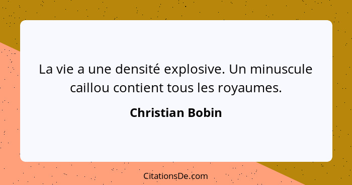 La vie a une densité explosive. Un minuscule caillou contient tous les royaumes.... - Christian Bobin