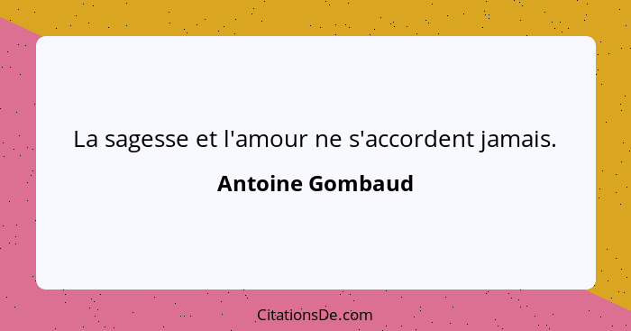 La sagesse et l'amour ne s'accordent jamais.... - Antoine Gombaud