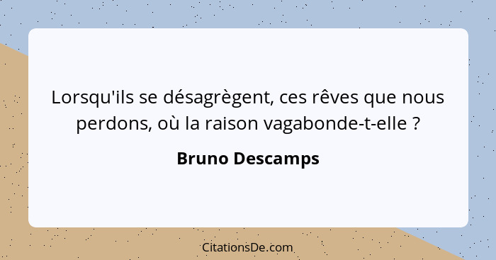 Lorsqu'ils se désagrègent, ces rêves que nous perdons, où la raison vagabonde-t-elle ?... - Bruno Descamps