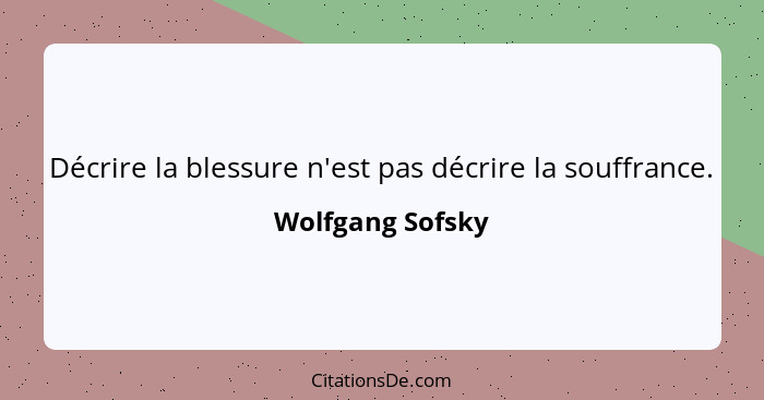 Décrire la blessure n'est pas décrire la souffrance.... - Wolfgang Sofsky