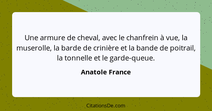 Une armure de cheval, avec le chanfrein à vue, la muserolle, la barde de crinière et la bande de poitrail, la tonnelle et le garde-qu... - Anatole France