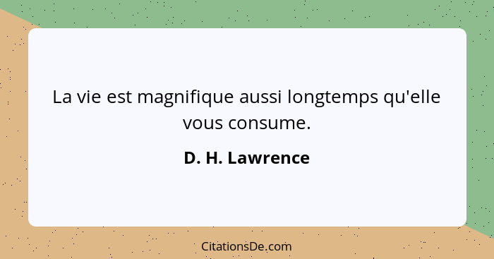 La vie est magnifique aussi longtemps qu'elle vous consume.... - D. H. Lawrence