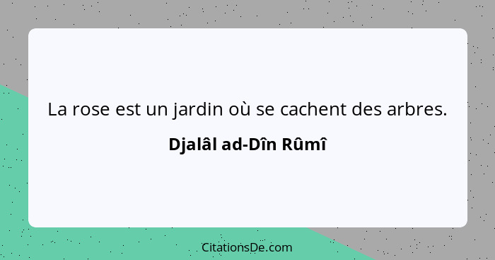 La rose est un jardin où se cachent des arbres.... - Djalâl ad-Dîn Rûmî