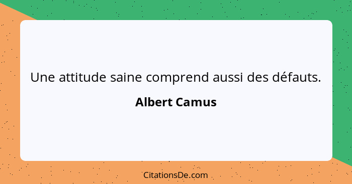 Une attitude saine comprend aussi des défauts.... - Albert Camus