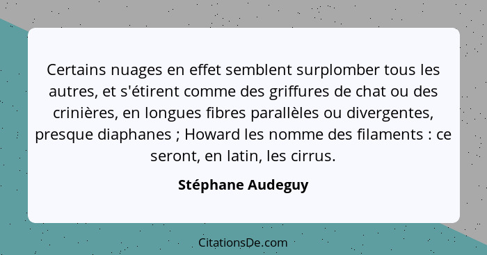 Certains nuages en effet semblent surplomber tous les autres, et s'étirent comme des griffures de chat ou des crinières, en longues... - Stéphane Audeguy