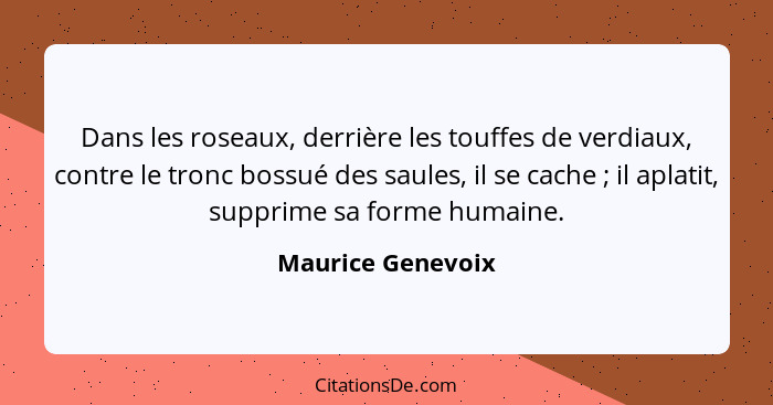 Dans les roseaux, derrière les touffes de verdiaux, contre le tronc bossué des saules, il se cache ; il aplatit, supprime sa f... - Maurice Genevoix