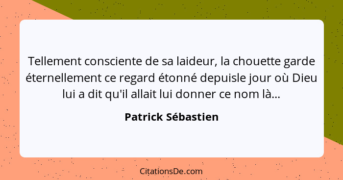 Tellement consciente de sa laideur, la chouette garde éternellement ce regard étonné depuisle jour où Dieu lui a dit qu'il allait... - Patrick Sébastien