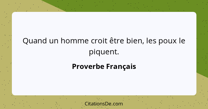 Quand un homme croit être bien, les poux le piquent.... - Proverbe Français