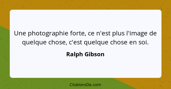 Une photographie forte, ce n'est plus l'image de quelque chose, c'est quelque chose en soi.... - Ralph Gibson