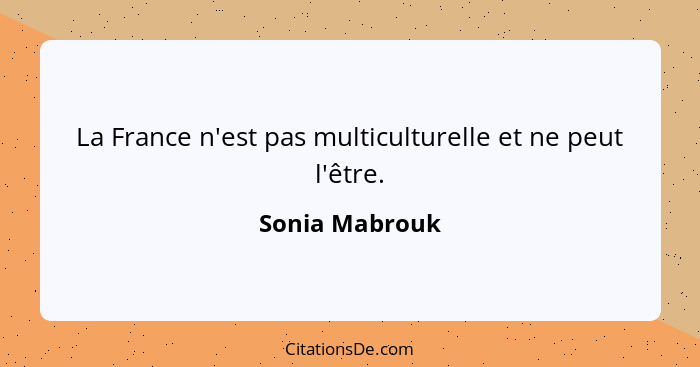 La France n'est pas multiculturelle et ne peut l'être.... - Sonia Mabrouk