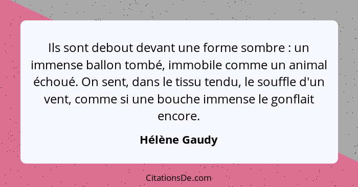 Ils sont debout devant une forme sombre : un immense ballon tombé, immobile comme un animal échoué. On sent, dans le tissu tendu,... - Hélène Gaudy