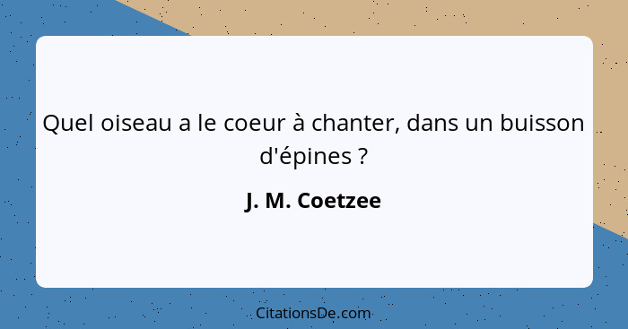 Quel oiseau a le coeur à chanter, dans un buisson d'épines ?... - J. M. Coetzee