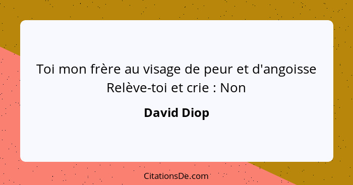 Toi mon frère au visage de peur et d'angoisse Relève-toi et crie : Non... - David Diop