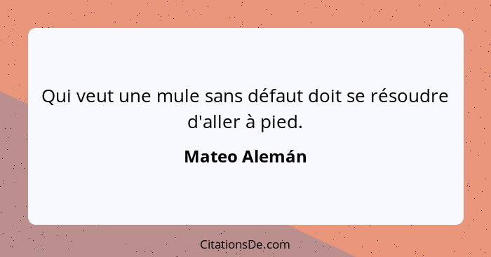 Qui veut une mule sans défaut doit se résoudre d'aller à pied.... - Mateo Alemán