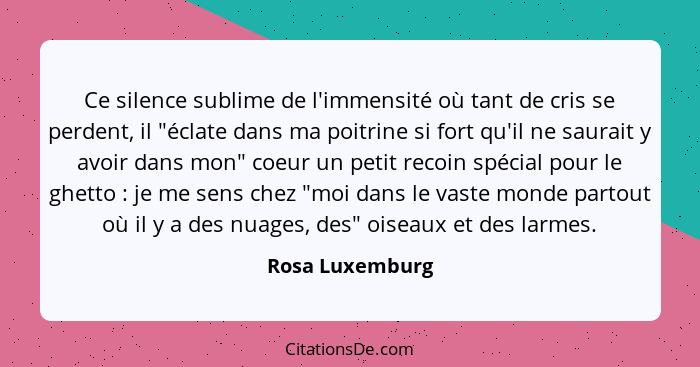 Ce silence sublime de l'immensité où tant de cris se perdent, il "éclate dans ma poitrine si fort qu'il ne saurait y avoir dans mon"... - Rosa Luxemburg