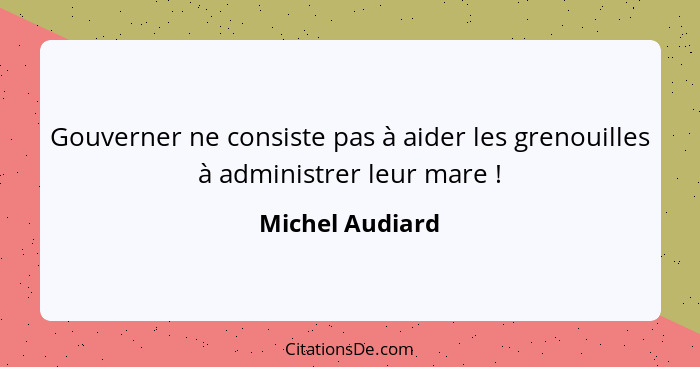 Gouverner ne consiste pas à aider les grenouilles à administrer leur mare !... - Michel Audiard