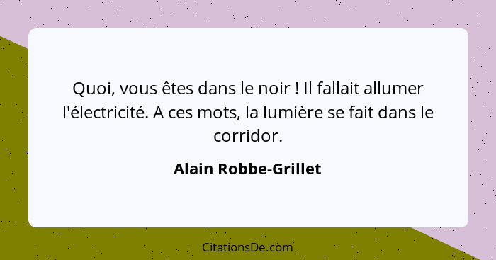 Quoi, vous êtes dans le noir ! Il fallait allumer l'électricité. A ces mots, la lumière se fait dans le corridor.... - Alain Robbe-Grillet