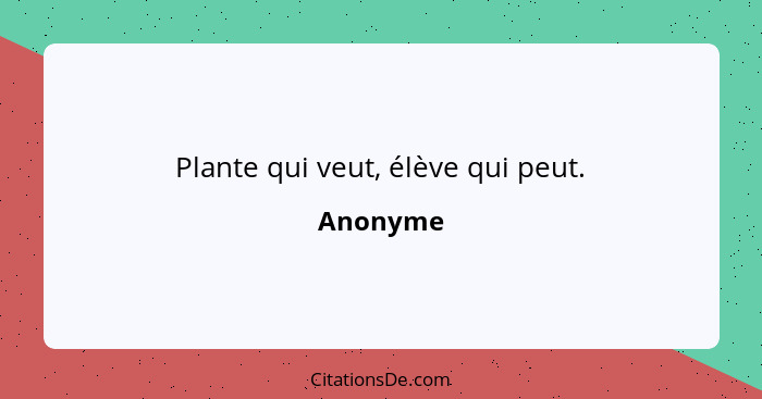 Plante qui veut, élève qui peut.... - Anonyme