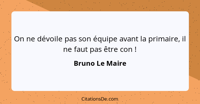 On ne dévoile pas son équipe avant la primaire, il ne faut pas être con !... - Bruno Le Maire