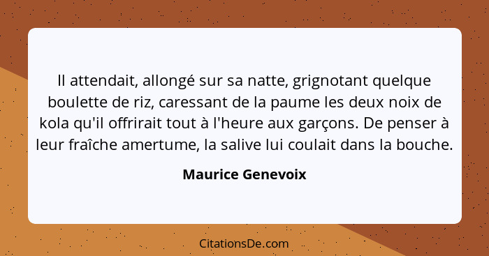 Il attendait, allongé sur sa natte, grignotant quelque boulette de riz, caressant de la paume les deux noix de kola qu'il offrirait... - Maurice Genevoix