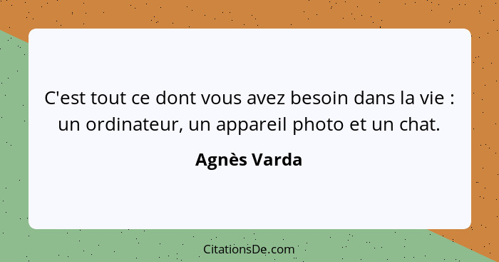 C'est tout ce dont vous avez besoin dans la vie : un ordinateur, un appareil photo et un chat.... - Agnès Varda