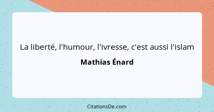 La liberté, l'humour, l'ivresse, c'est aussi l'islam... - Mathias Énard