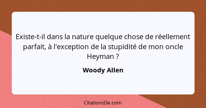 Existe-t-il dans la nature quelque chose de réellement parfait, à l'exception de la stupidité de mon oncle Heyman ?... - Woody Allen