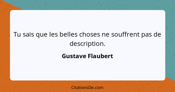 Tu sais que les belles choses ne souffrent pas de description.... - Gustave Flaubert