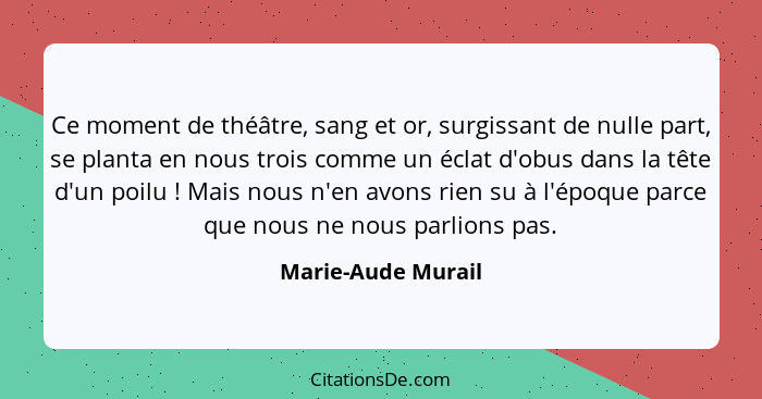 Ce moment de théâtre, sang et or, surgissant de nulle part, se planta en nous trois comme un éclat d'obus dans la tête d'un poilu&... - Marie-Aude Murail