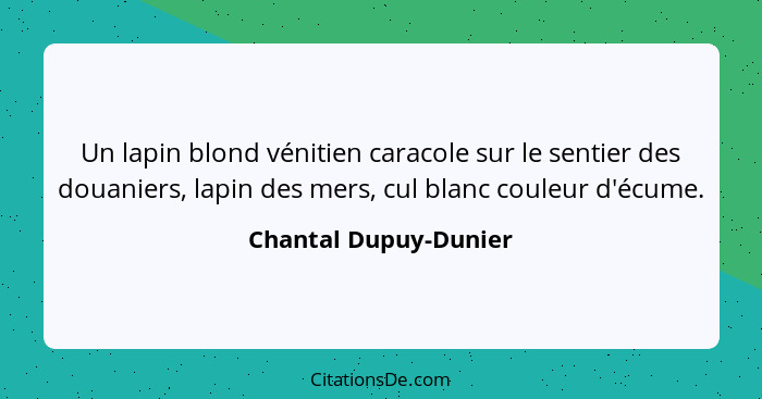 Un lapin blond vénitien caracole sur le sentier des douaniers, lapin des mers, cul blanc couleur d'écume.... - Chantal Dupuy-Dunier