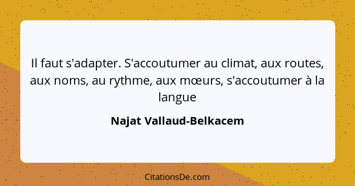 Il faut s'adapter. S'accoutumer au climat, aux routes, aux noms, au rythme, aux mœurs, s'accoutumer à la langue... - Najat Vallaud-Belkacem