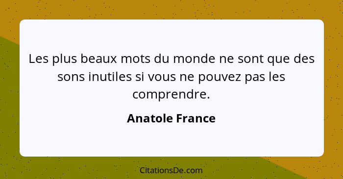 Les plus beaux mots du monde ne sont que des sons inutiles si vous ne pouvez pas les comprendre.... - Anatole France